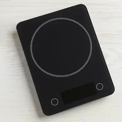 FrankenStarter Scale
