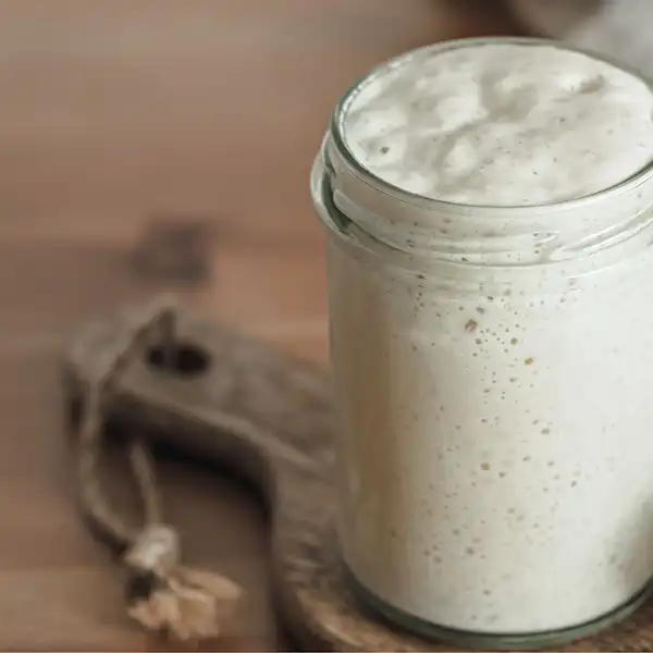 Sourdough Starter