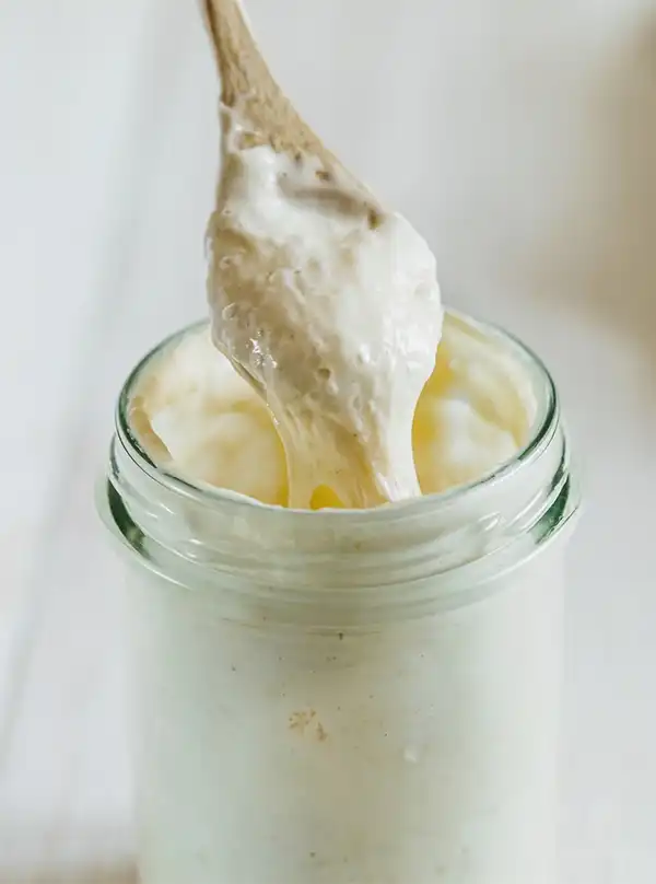 FrankenStarter Spoonful of Sourdough Starter